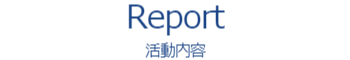 活動内容